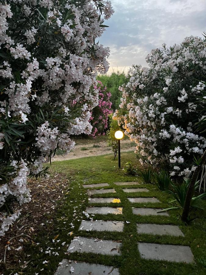 Hotel Frassetto Santa Teresa Gallura Exteriér fotografie
